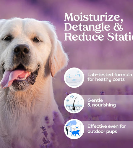 Grooming Spray Dog Spray Deodorizer Perfume for Dogs - Dog Cologne Spray Long Lasting Dog Sprays - Dog Perfume Spray Long Lasting after Bath- Dog Deodorizing Spray (Lavender)