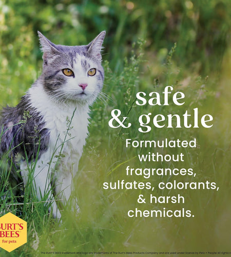 Burt'S Bees for Cats Dander Reducing Wipes - Kitten and Cat Wipes for Grooming - Burts Bees Cat Dander Wipes, Cat Grooming Wipes, Pet Wipes Cats, Cat Cleaning Wipes, Natural Cat Wipes, Cat Fur Wipes